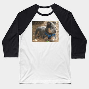 6517 puppy eye Baseball T-Shirt